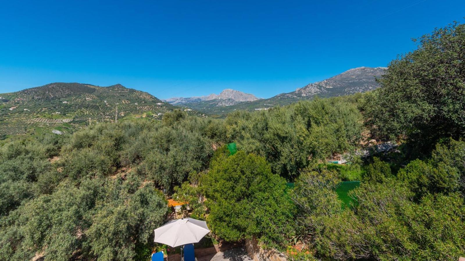 Casa Ana Maria Periana By Ruralidays Villa Exteriör bild
